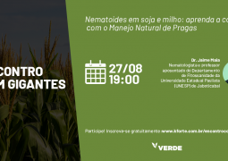 Conheça o Manejo Natural de Pragas, técnica eficaz e sustentável para controle de pragas da soja e do milho